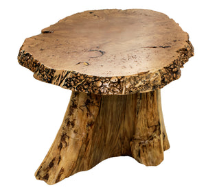 Big Leaf Maple Burl Cedar Stump Coffee Table