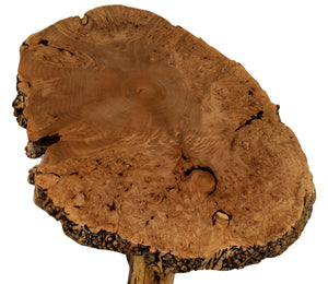 Big Leaf Maple Burl Cedar Stump Coffee Table