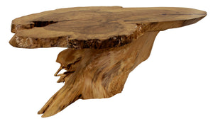 Elm Burl Coffee Table