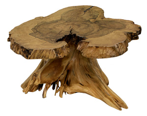 Elm Burl Coffee Table
