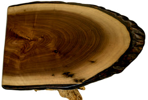 Walnut Endtable with Cedar Stump